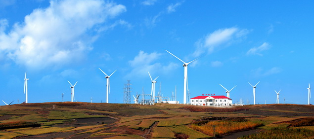 风舞龙江众山小